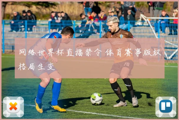 网络世界杯直播禁令 体育赛事版权格局生变