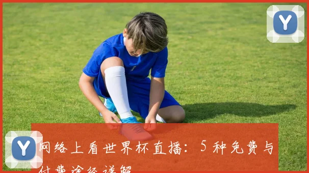 网络上看世界杯直播：5 种免费与付费途径详解