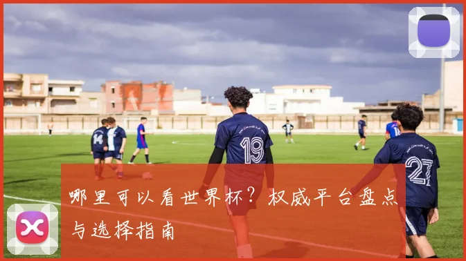 哪里可以看世界杯？权威平台盘点与选择指南