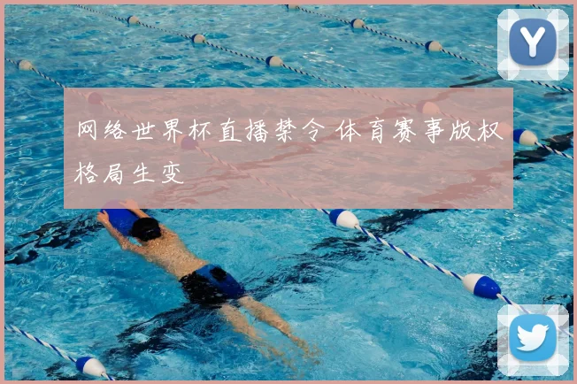 网络世界杯直播禁令 体育赛事版权格局生变
