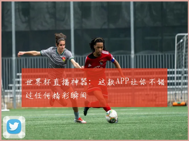 世界杯直播神器：这款APP让你不错过任何精彩瞬间
