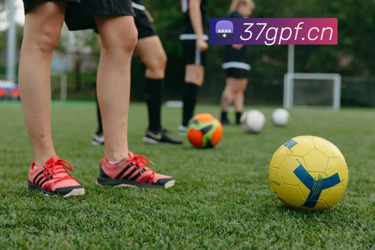 米兰体育在线登录入口平台生态图