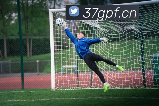 米兰体育在线登录入口APP 封面图